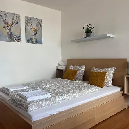 Satys 公寓 俄斯特拉发