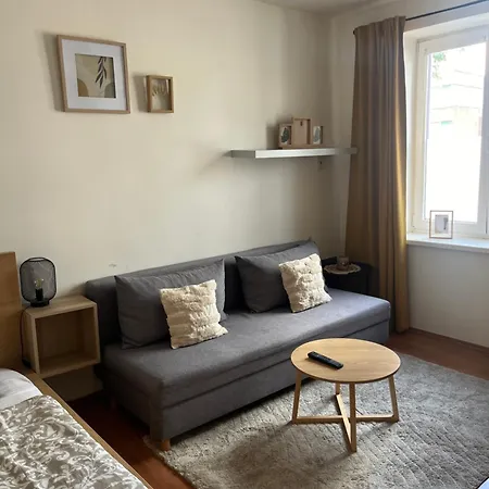 Satys 公寓 俄斯特拉发