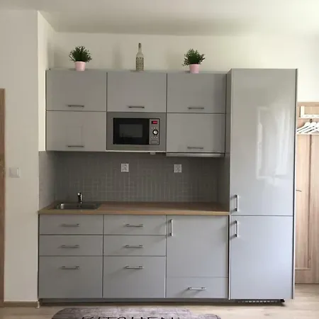 Apartment Satys *